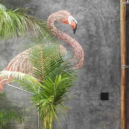 White Elephant Casa Boutique Tulum-3